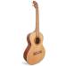 LANIKAI CDST-C - Укулеле концерт ~ Серия Lanikai cedar solid top LANIKAI CDST-C - Укулеле концерт ~ Серия Lanikai cedar solid top