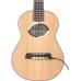 KNA UK-1 - Звукосниматель для укулеле KNA UK-1 - Звукосниматель для укулеле