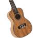 FLIGHT DUC450 MANGO - Укулеле концерт ~ Серия Flight supernatural