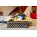 FLIGHT Tiny 6 Walnut - Комбоусилитель для укулеле FLIGHT Tiny 6 Walnut - Комбоусилитель для укулеле