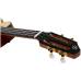 FLIGHT A10 SC Cocobolo Dragon - Укулеле тенор ~ Серия Flight anniversary FLIGHT A10 SC Cocobolo Dragon - Укулеле тенор ~ Серия Flight anniversary