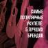 Самые популярные укулеле: 5 лучших брендов