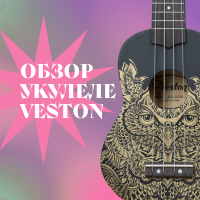 Лучшие укулеле для начинающих: обзор Veston
